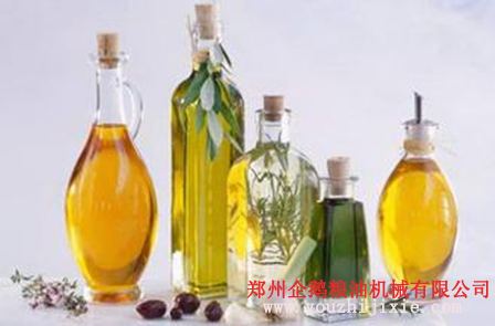 油脂設(shè)備之苦蕎籽油提取設(shè)備 苦蕎籽油營(yíng)養(yǎng)價(jià)值高(圖2) 油脂設(shè)備之苦蕎籽油提取設(shè)備 苦蕎籽油營(yíng)養(yǎng)價(jià)值高(圖2)