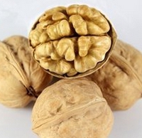 核桃深加工項目-核桃油設備生產(chǎn)商鄭州企鵝糧油(圖1) 核桃深加工項目-核桃油設備生產(chǎn)商鄭州企鵝糧油(圖1)